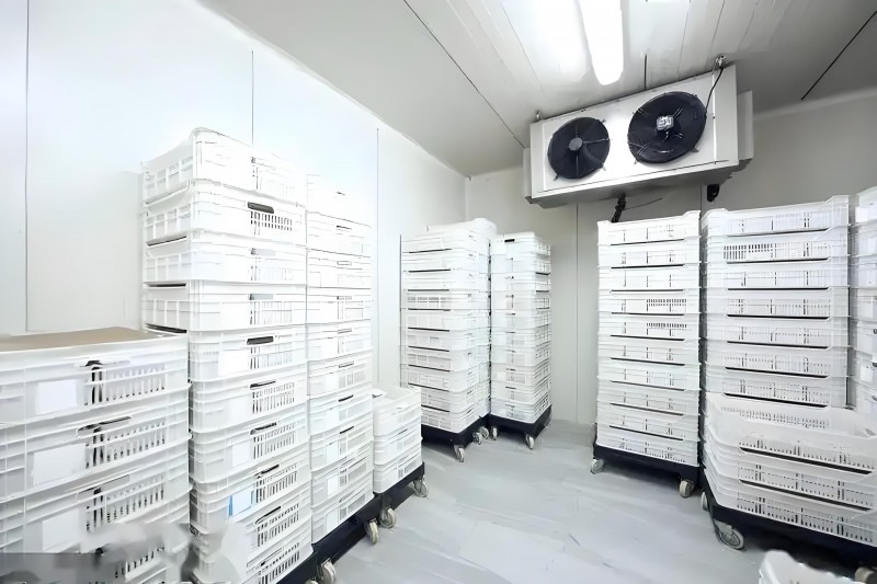 d5c2a64f-9662-4c1f-b03b-8a5a47c96ddd