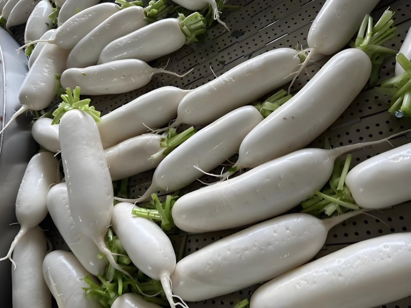 78a18dc3-da21-4653-b4c7-a78531cd4119